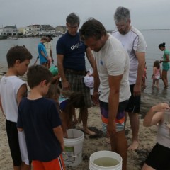 Alliance for a Living Ocean