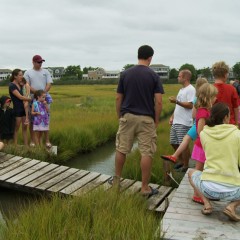 Salt Marshes of New Jersey