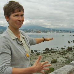 A Fragmented Shoreline