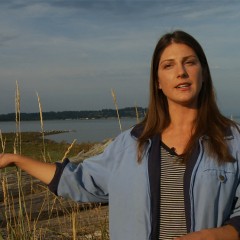 Lessons on the Coast