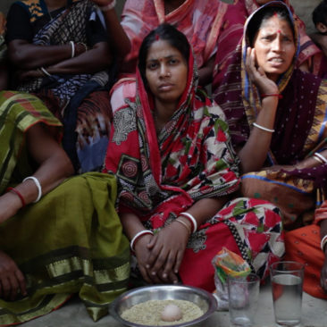 Salt Resistant Seeds