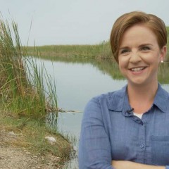 Fueling the Sunshine State